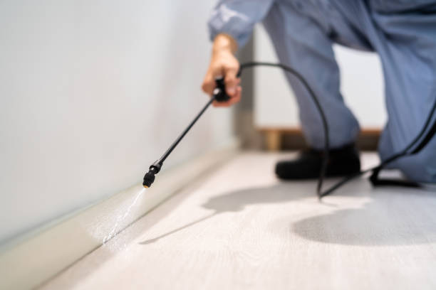 Licensed Mosquito Control service in Champaign, IL - Nex Pest Control