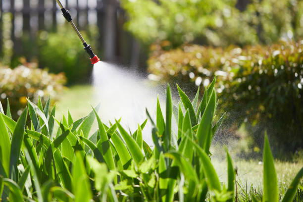 24/7 Emergency Mosquito Control experts in Champaign, IL