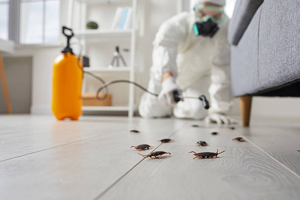 Trusted Fumigation Services service in Champaign, IL - Nex Pest Control