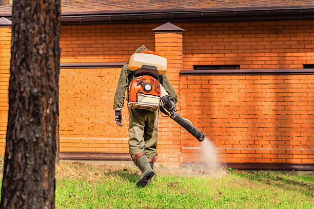 Trusted Mosquito Control service in Champaign, IL - Nex Pest Control